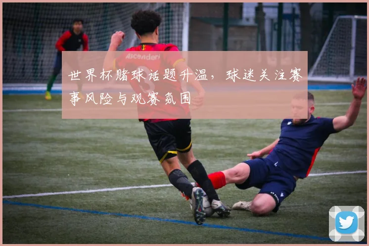世界杯赌球话题升温，球迷关注赛事风险与观赛氛围